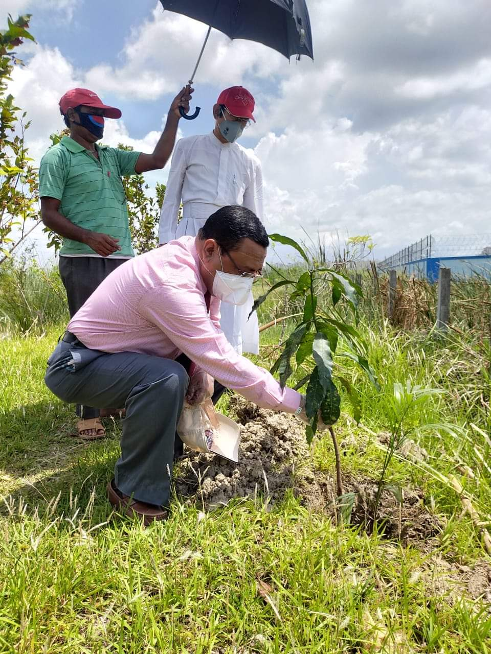 Tree plantation on World Environment Day on 5 th June,2020
