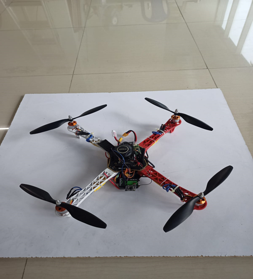 Aerial Forest Ranger